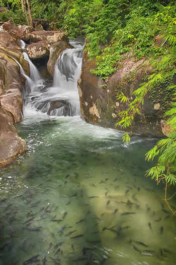 Cascade dans la province de Rayong